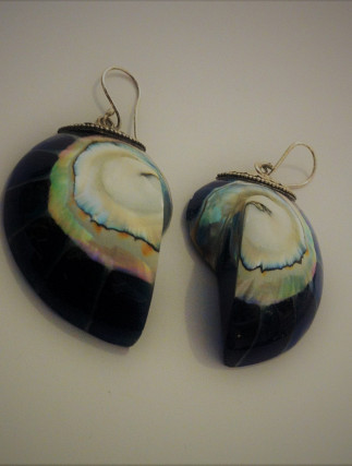 Naušnice Školjka Srebro