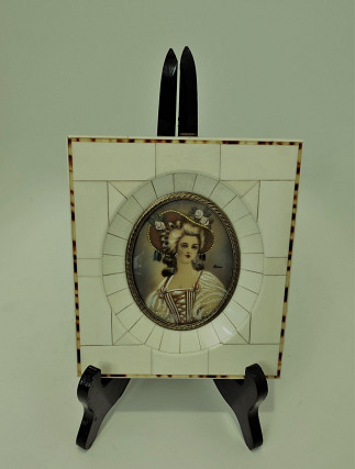 Minijatura slonovača